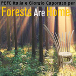 Caporaso per Forests are Home