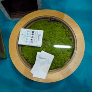 Tappo: tavolino in cartone con licheni by Lessmore, un esempio di economia circolare - Design Giorgio Caporaso